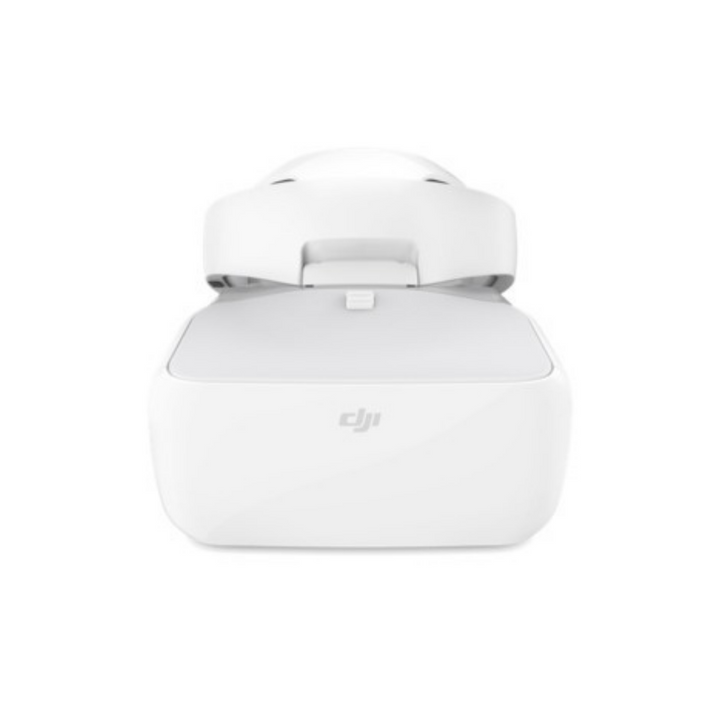 DJI Goggles